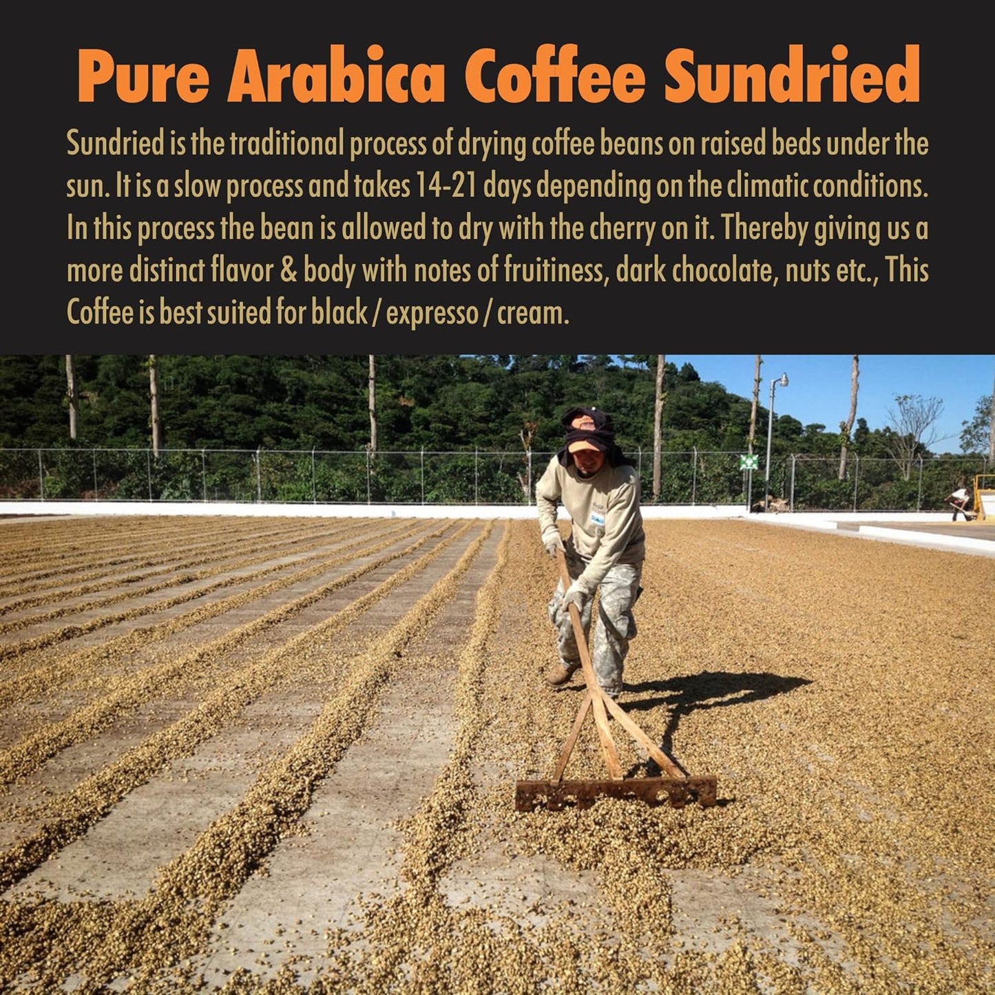 Sundried Arabica Coffee